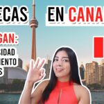 Becas Para Estudiar En Canada Para Espanoles