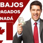 Carreras Mejor Pagadas En Canada