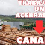 Cuanto Gana Un Lenador En Canada