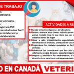 Cuanto Gana Un Veterinario En Canada