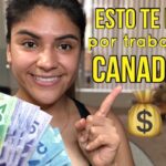 Cuanto Pagan Por Hora En Canada