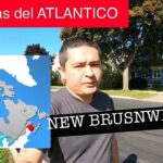 Provincia Del Atlantico Para Vivir