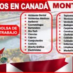 Trabajo De Limpieza En Montreal