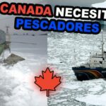 Trabajo De Pesca Canada