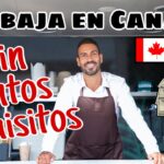 Trabajo En Canada Sin Experiencia