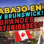 Trabajos En New Brunswick